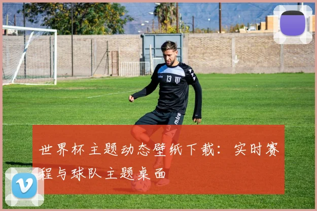 世界杯主题动态壁纸下载：实时赛程与球队主题桌面